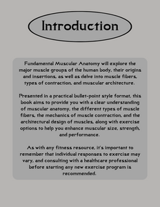 Fundamental Muscular Anatomy
