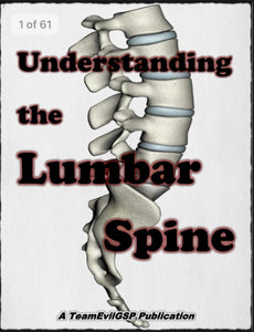 Understanding The Lumbar Spine